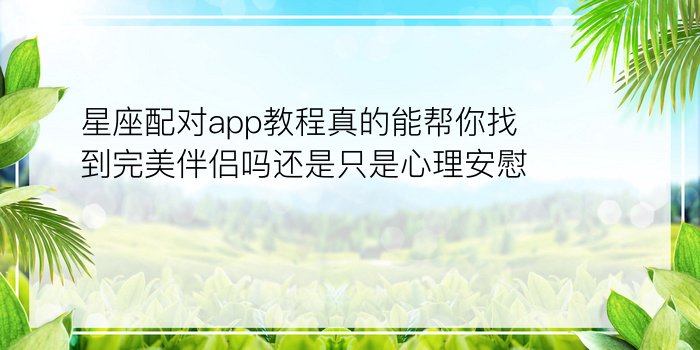 星座配对app教程真的能帮你找到完美伴侣吗还是只是心理安慰