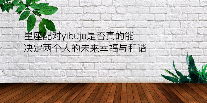 星座配对yibuju是否真的能决定两个人的未来幸福与和谐