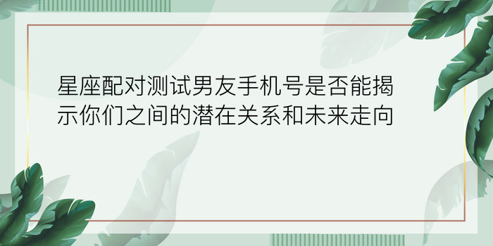 手机号配对看缘分怎么看游戏截图