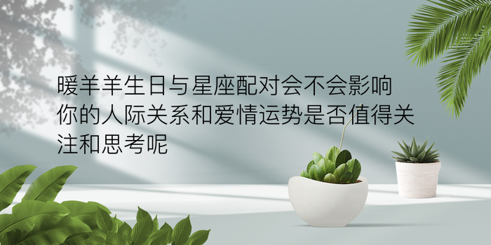 男女配对生日游戏截图