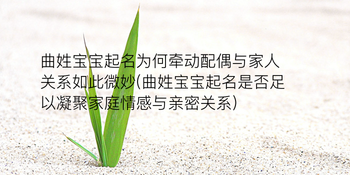 取名方法周易游戏截图