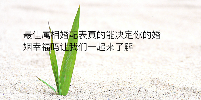 车牌打分测吉凶游戏截图