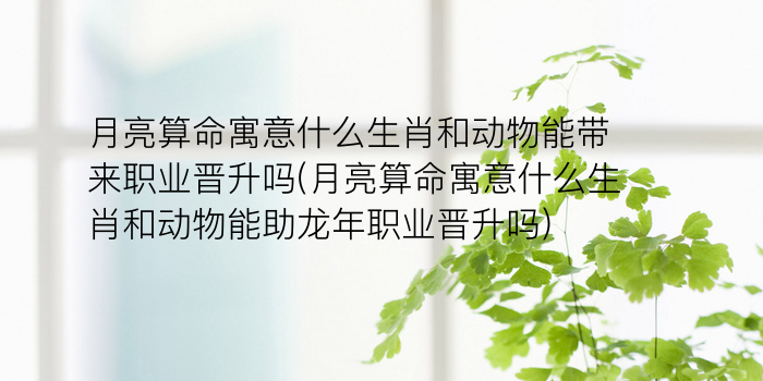 月亮算命寓意什么生肖和动物能带来职业晋升吗(月亮算命寓意什么生肖和动物能助龙年职业晋升吗)