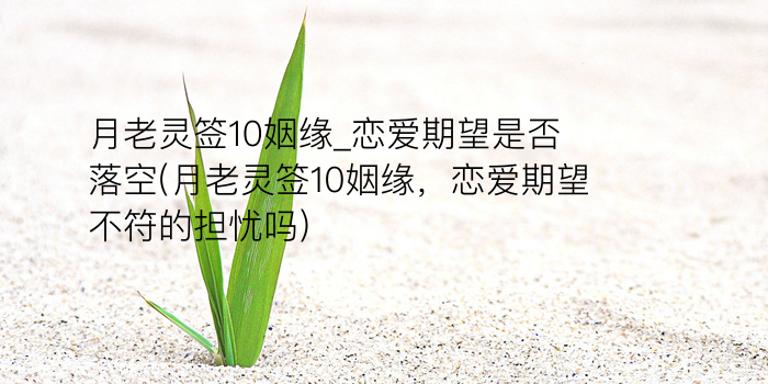 玉帝灵签13签游戏截图