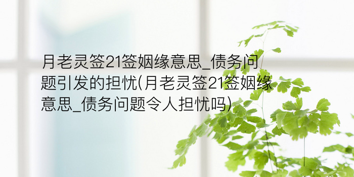 妈祖灵签周公解梦游戏截图