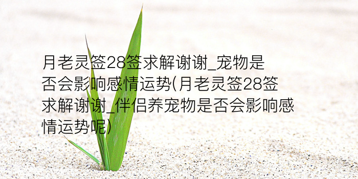 财神灵签26签游戏截图