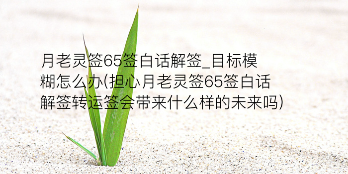 玉帝灵签56签游戏截图