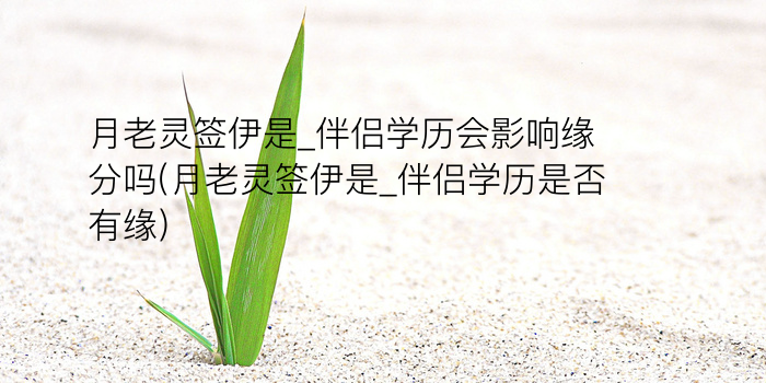 妈祖灵签9签游戏截图