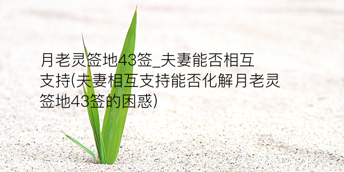 求子观音灵签抽签游戏截图