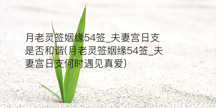 8当命理网