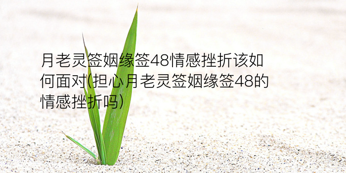 8当命理网