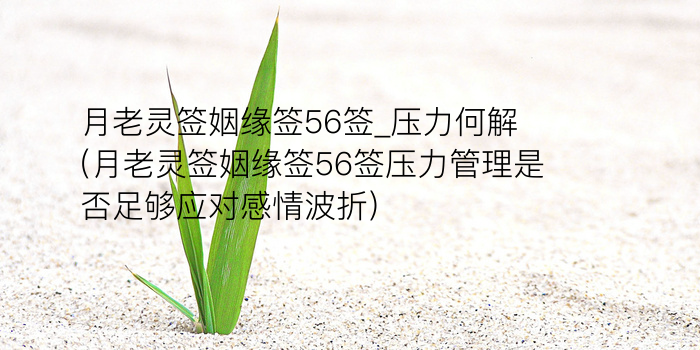 财神灵签34签游戏截图