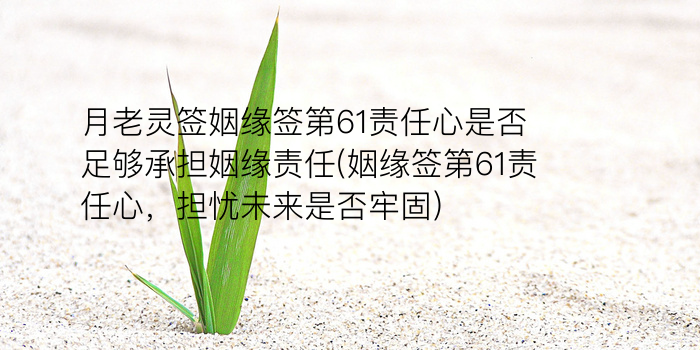 吕祖灵签11游戏截图