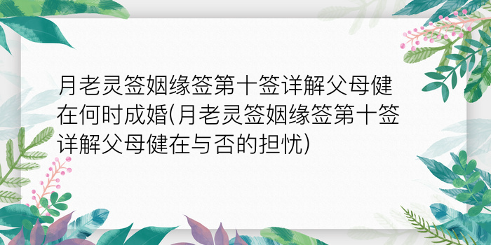 观音算卦抽签算命游戏截图