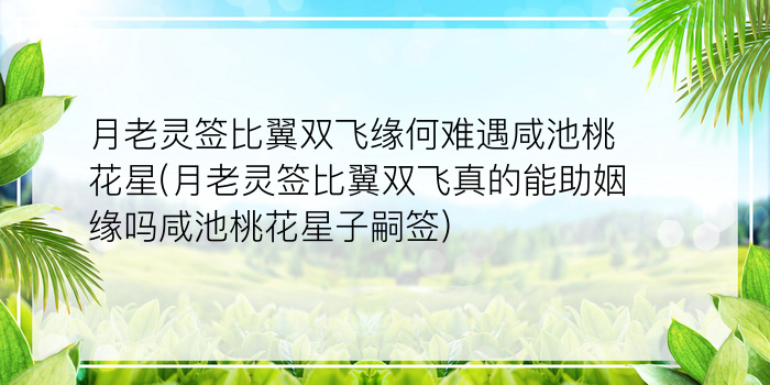 月老灵签比翼双飞缘何难遇咸池桃花星(月老灵签比翼双飞真的能助姻缘吗咸池桃花星子嗣签)