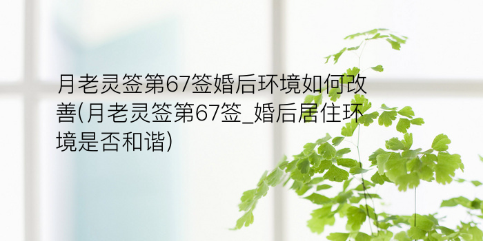 月老灵签66游戏截图