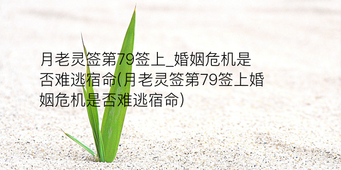 妈祖灵签解签大全游戏截图