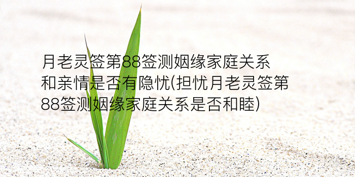 吕祖灵签蟾游戏截图