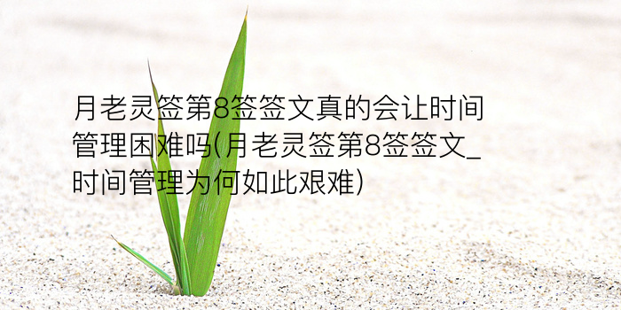 玉帝12灵签游戏截图