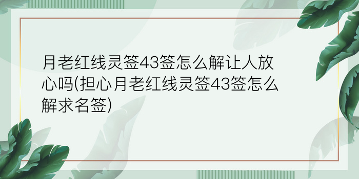 8当命理网