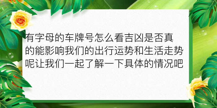 有字母的车牌号怎么看吉凶是否真的能影响我们的出行运势和生活走势呢让我们一起了解一下具体的情况吧