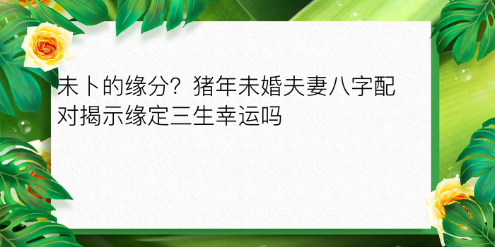 未卜的缘分？猪年未婚夫妻八字配对揭示缘定三生幸运吗