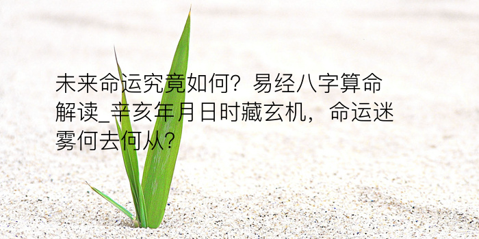 八字一生运程游戏截图