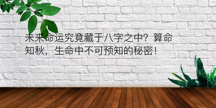 未来命运究竟藏于八字之中？算命知秋，生命中不可预知的秘密！