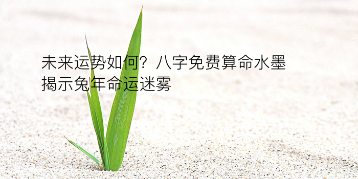 定中间字起名生辰八字游戏截图