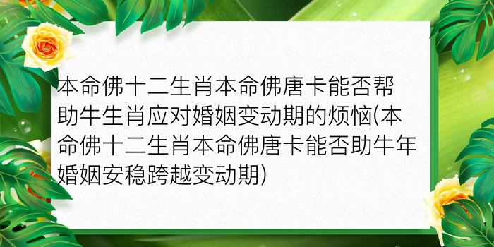 2021年犯太岁的生肖表游戏截图