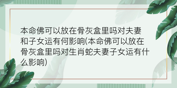 十二生肖每日运势游戏截图