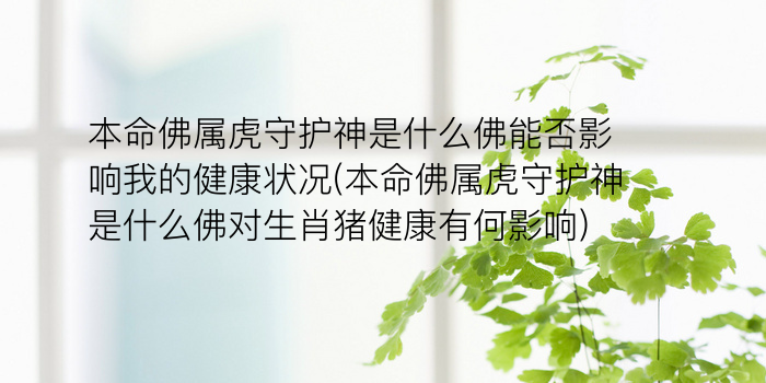 本命佛属虎守护神是什么佛能否影响我的健康状况(本命佛属虎守护神是什么佛对生肖猪健康有何影响)