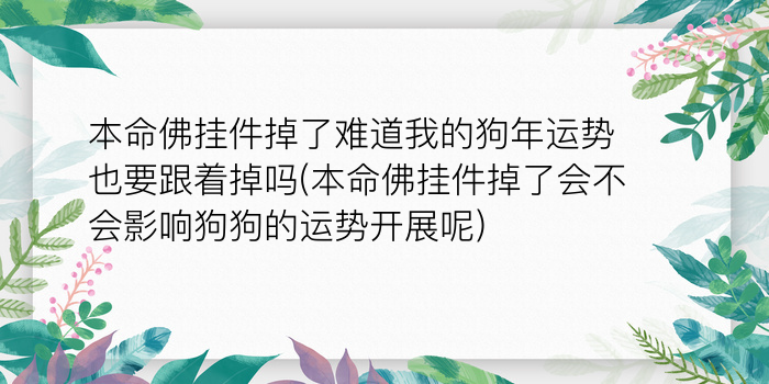 二零二算运网