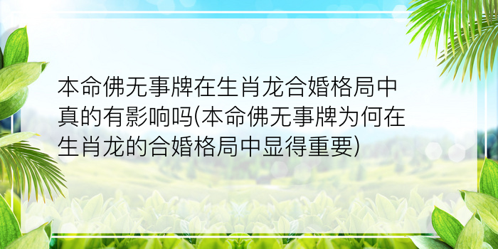 男人本命年送什么礼物好游戏截图