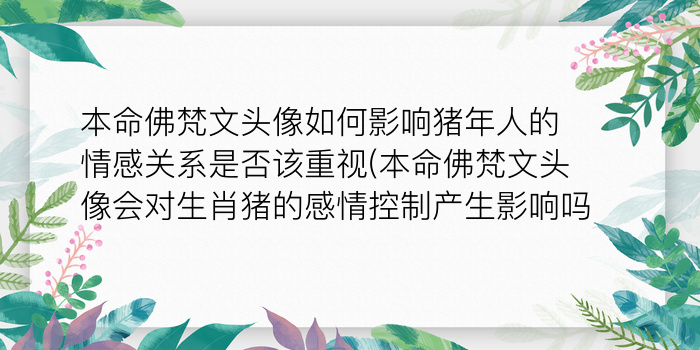 二零二算运网