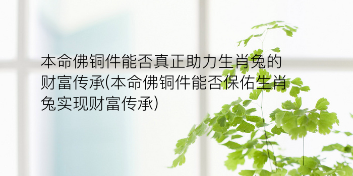 本命佛铜件能否真正助力生肖兔的财富传承(本命佛铜件能否保佑生肖兔实现财富传承)