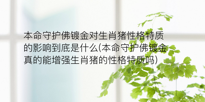 本命守护佛镀金对生肖猪性格特质的影响到底是什么(本命守护佛镀金真的能增强生肖猪的性格特质吗)