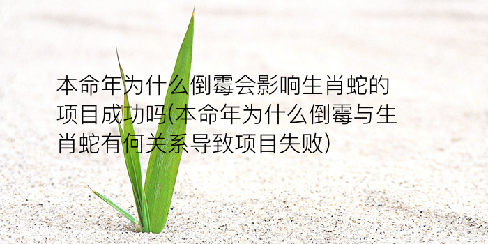 本命年红袜子游戏截图