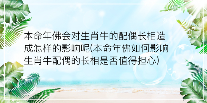 本命年能过生日吗游戏截图