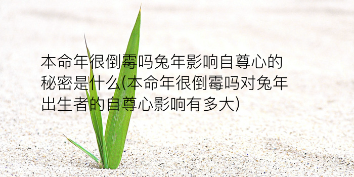 鸡年犯太岁的生肖游戏截图