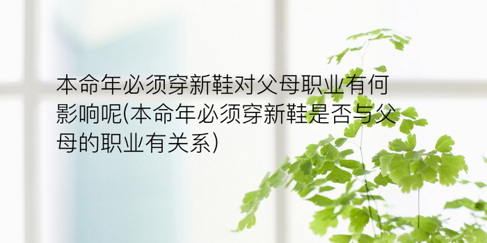 生肖算命龙游戏截图