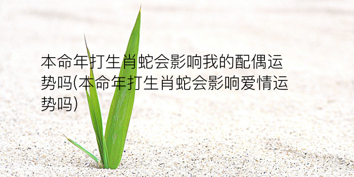 鸡年十二生肖每月运势游戏截图