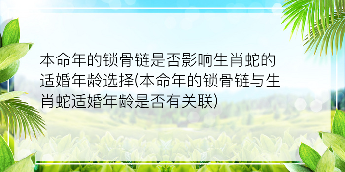 犯太岁2023年怎么化解游戏截图