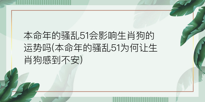 十二生肖配对算命准吗游戏截图