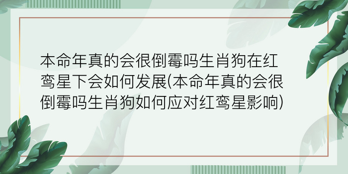 12生肖算命婚姻配对最准游戏截图