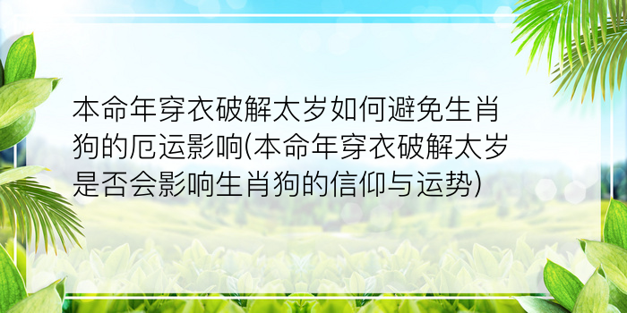 本命年穿衣破解太岁如何避免生肖狗的厄运影响(本命年穿衣破解太岁是否会影响生肖狗的信仰与运势)