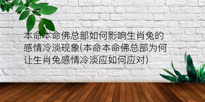 本命本命佛总部如何影响生肖兔的感情冷淡现象(本命本命佛总部为何让生肖兔感情冷淡应如何应对)