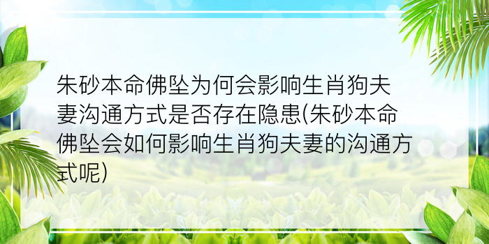 鼠年犯太岁的四个属相游戏截图