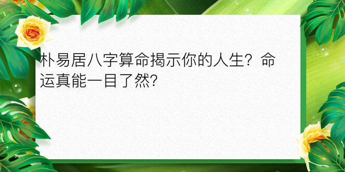 朴易居八字算命揭示你的人生？命运真能一目了然？