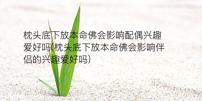 算命先生算几个生肖的游戏截图